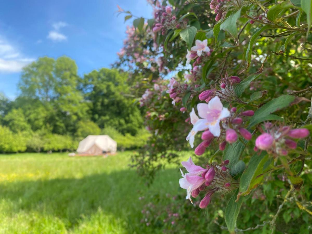 Green Glamping Сеннерборг Екстер'єр фото